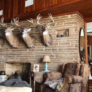 Meet your Posher, Tom